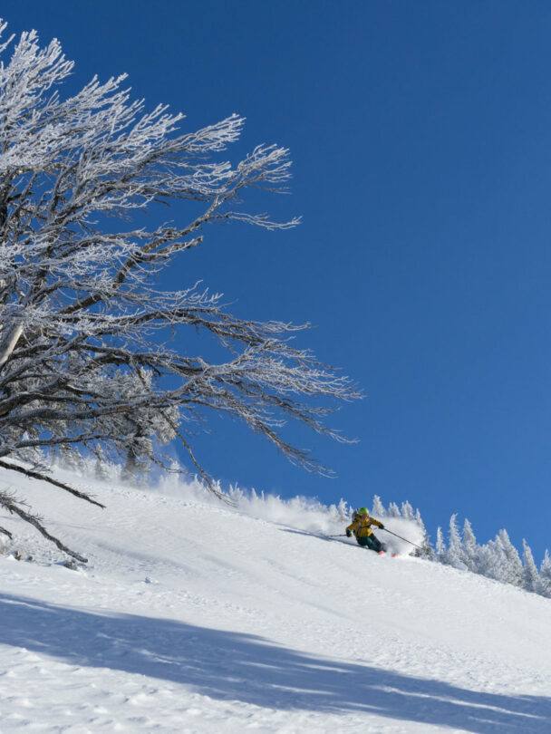 Women’s Network BC Touring in the Tetons