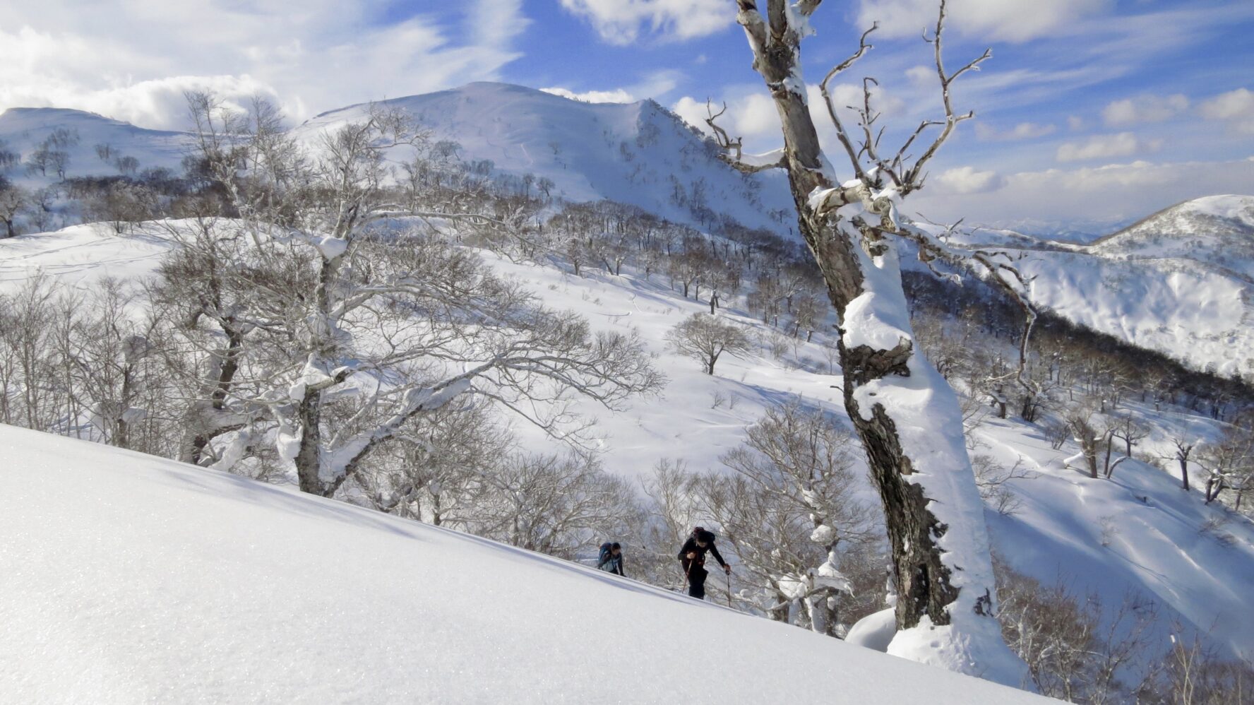 kiroro-backcountry-skiing