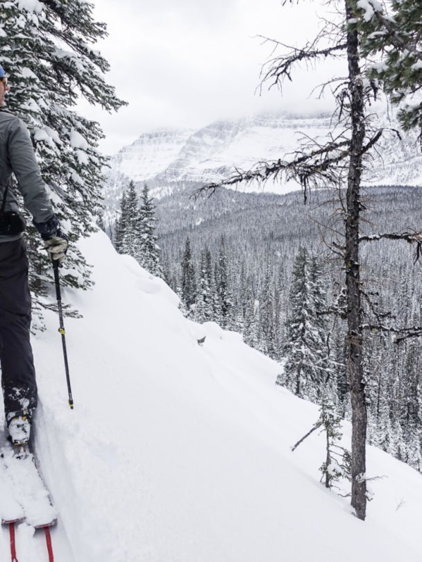 Golden Day Hits backcountry skiing