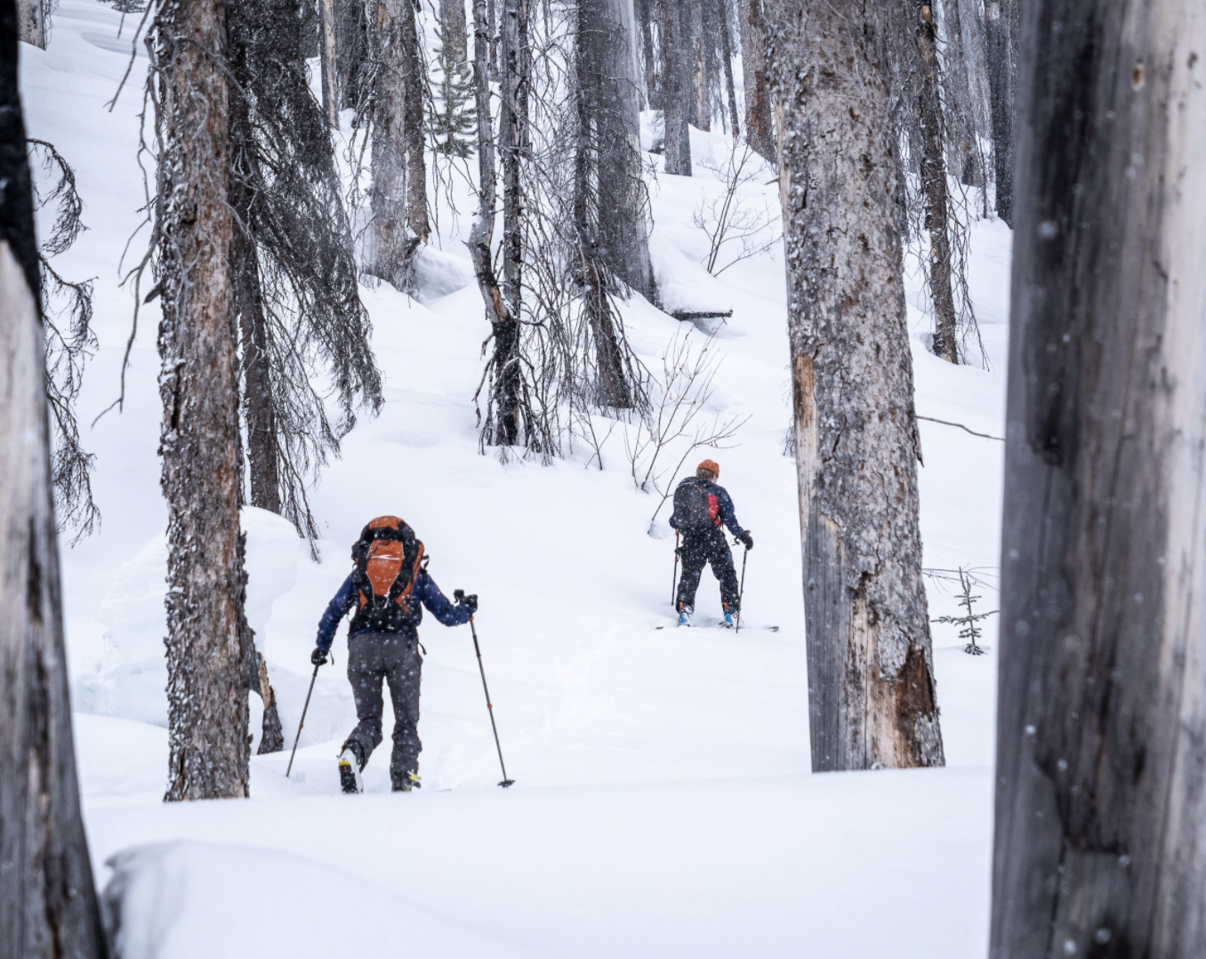 Golden Day Hits backcountry skiing