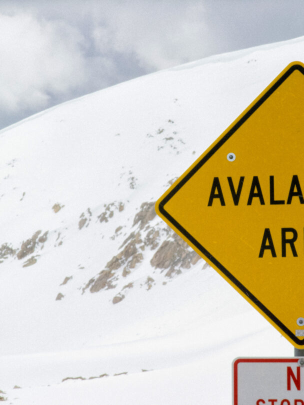Snowy meadows around Canadian Rockies