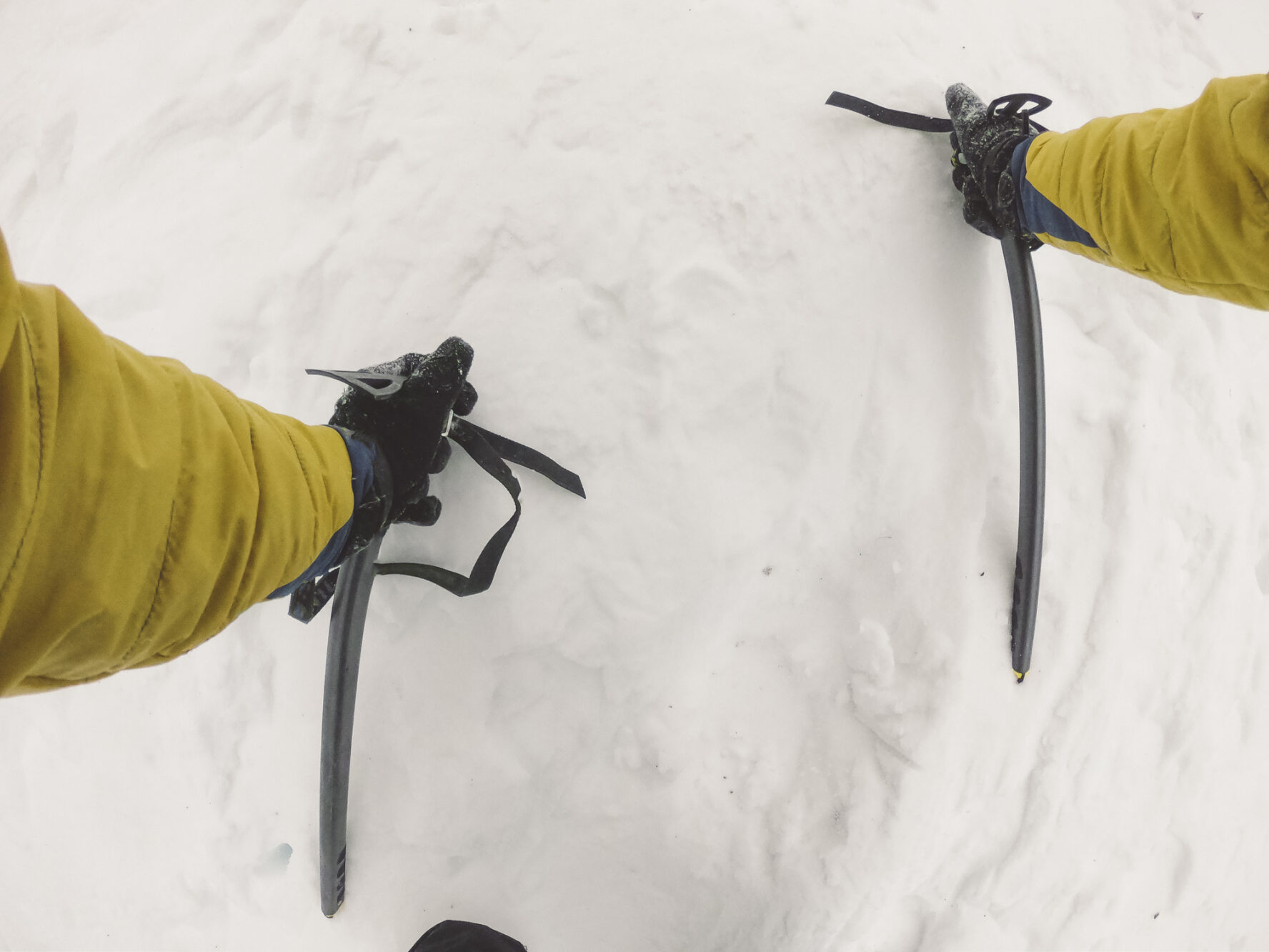 Avalanche Rescue Course