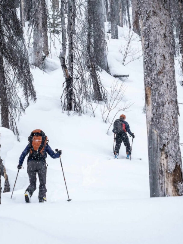 Backcountry Skiing in the Canadian Rockies