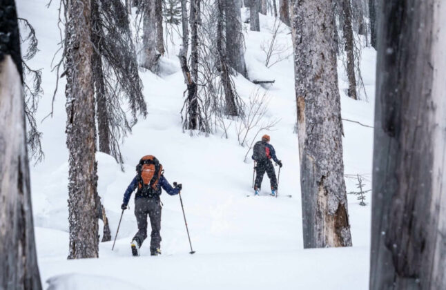Backcountry Skiing in the Canadian Rockies