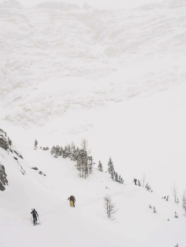 Backcountry Skiing in the Canadian Rockies