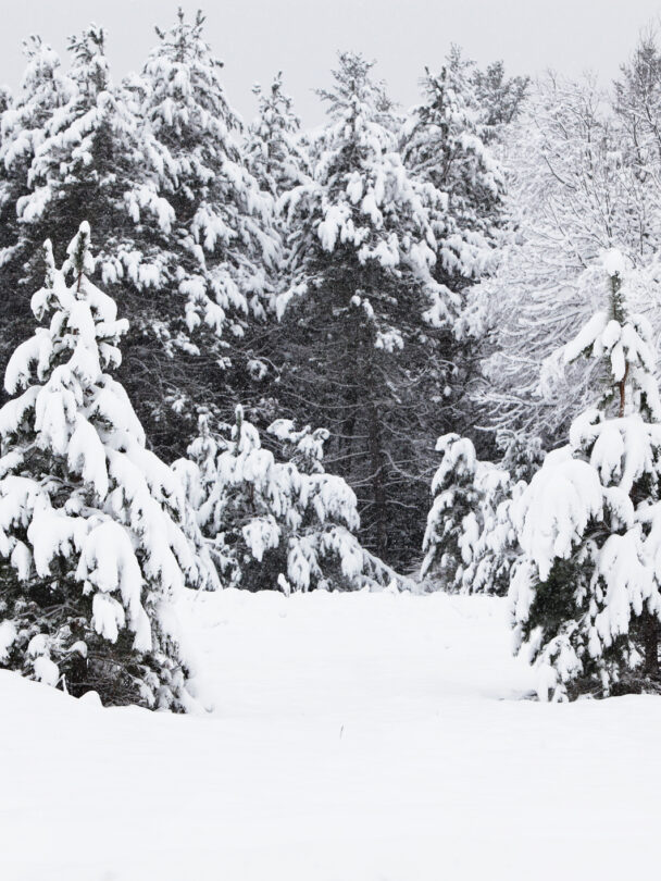 Adirondacks backcountry skiing