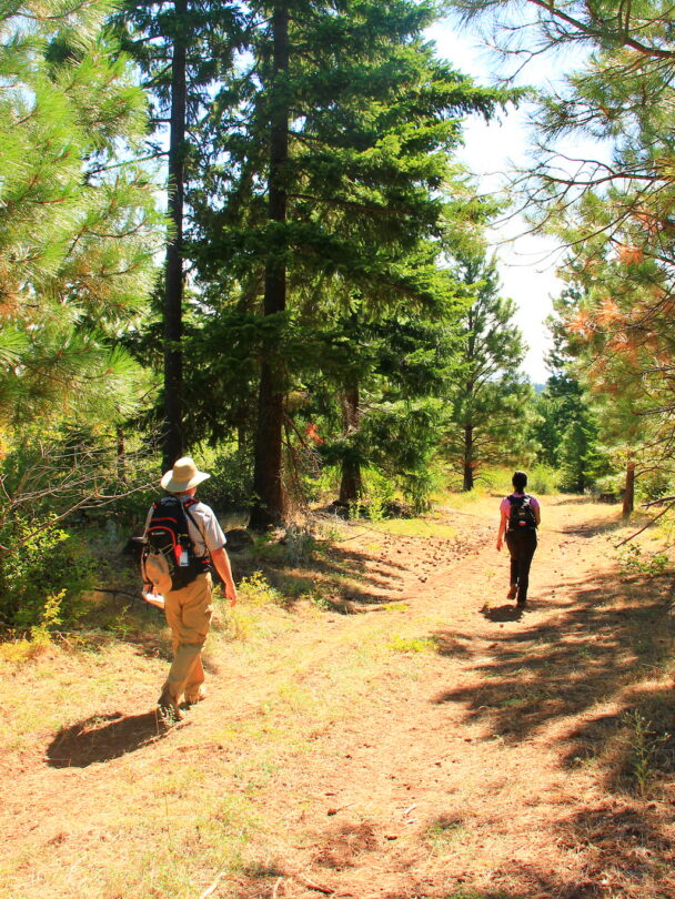 Pacific Crest Trail Oregon Hiking