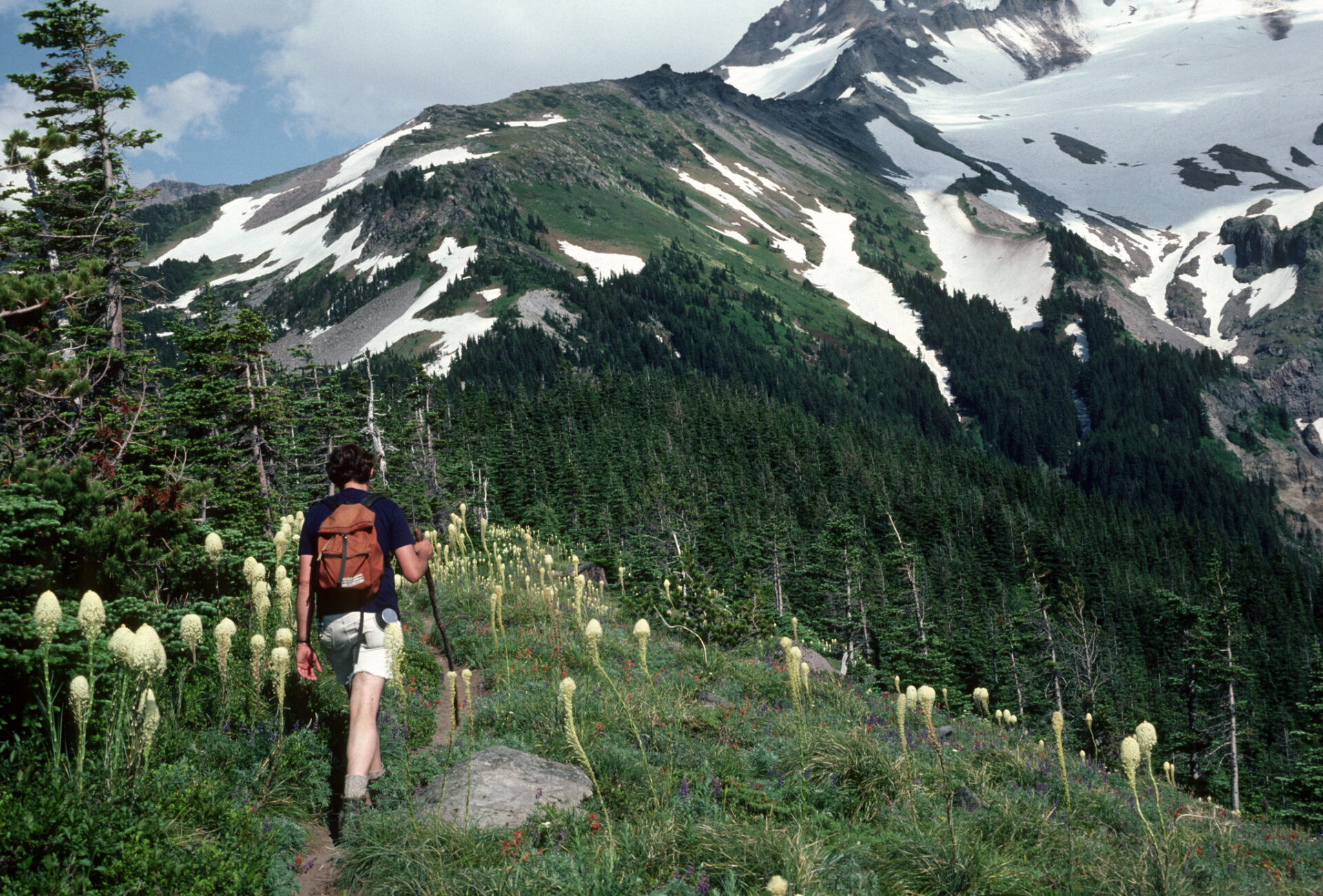 Pacific Crest Trail Oregon Hiking