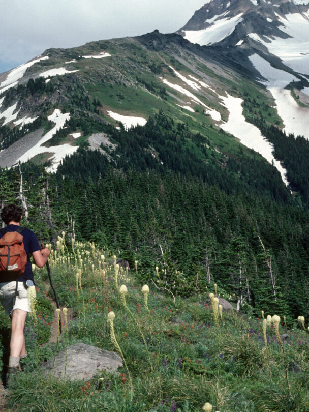 Pacific Crest Trail Oregon Hiking