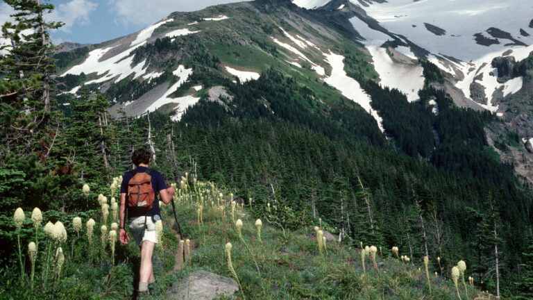 Pacific Crest Trail Oregon Hiking