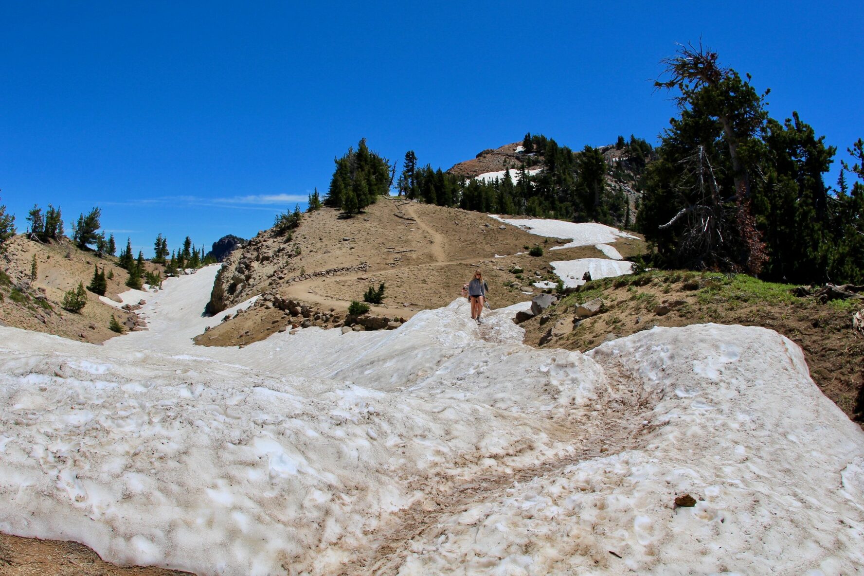 Pacific Crest Trail Oregon Hiking