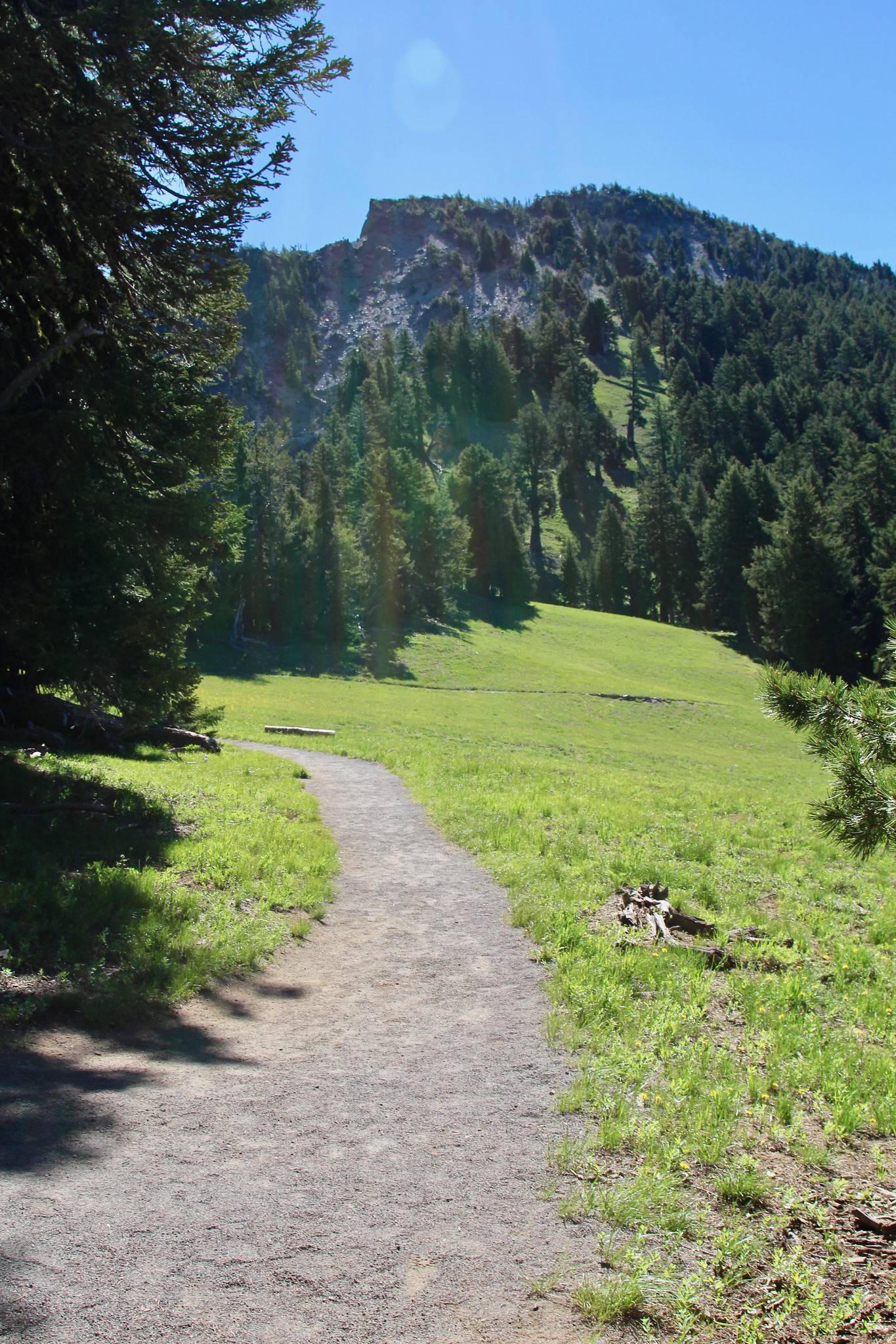 Pacific Crest Trail Oregon Hiking