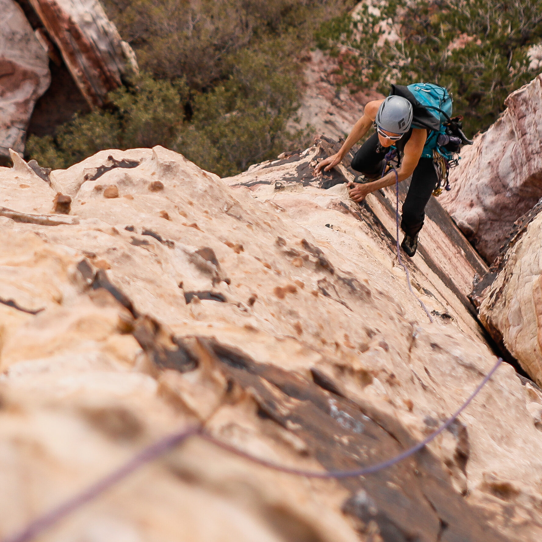 Red Rock Women's Climbing Camp