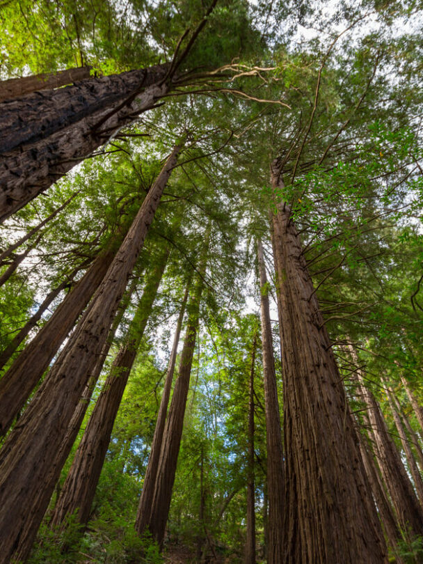 Hiking in Big Sur