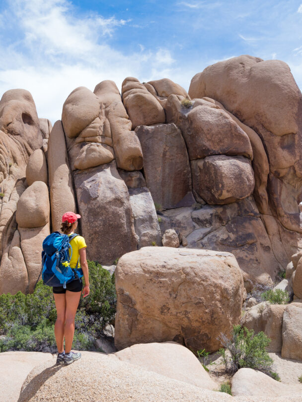 Day Hikes in Joshua Tree National Park