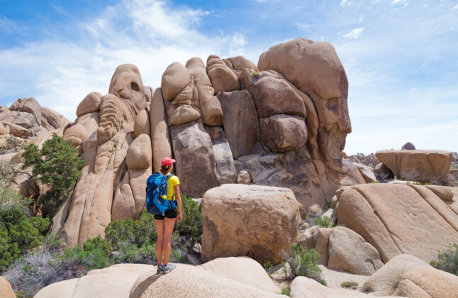 Day Hikes in Joshua Tree National Park