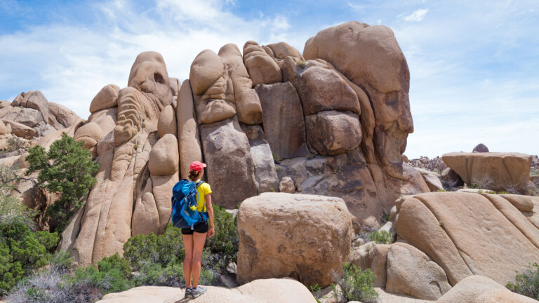 Day Hikes in Joshua Tree National Park