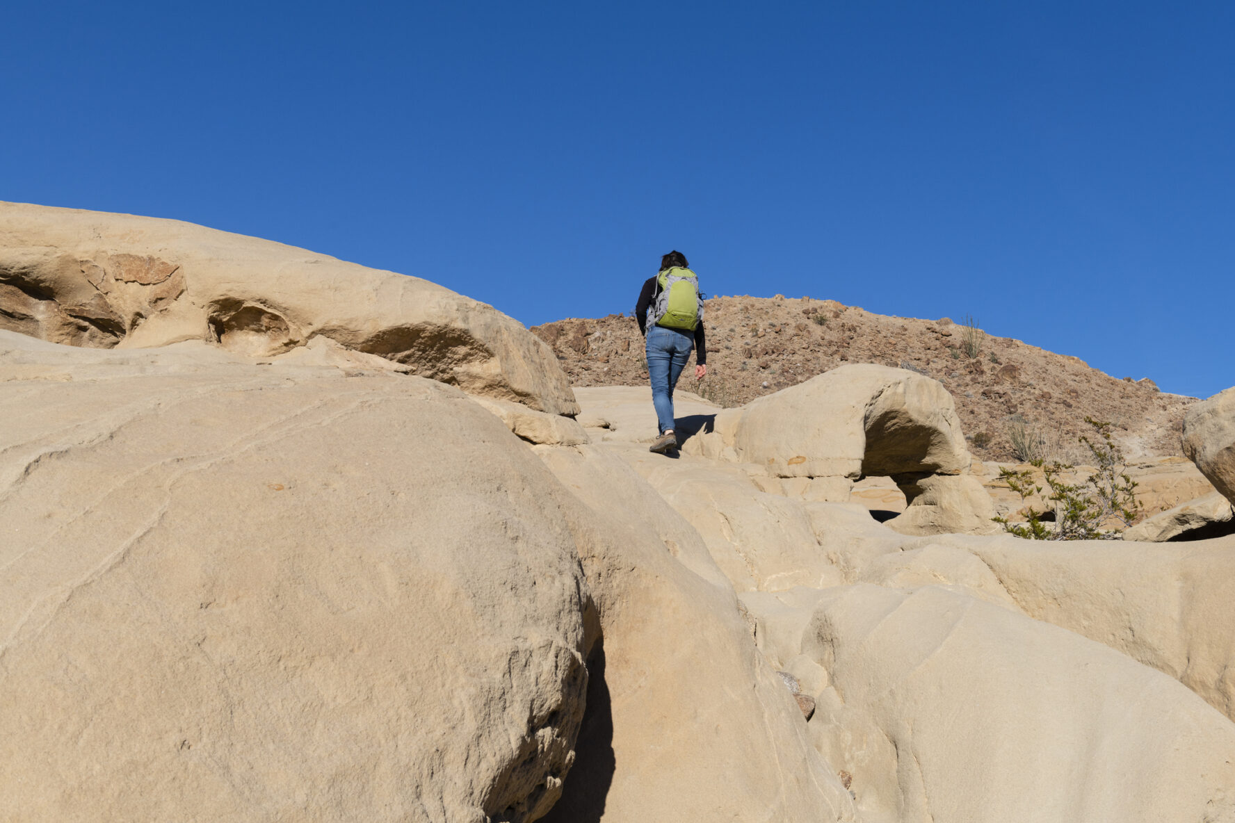 Despite its looks, this hike in Torrey Pines is beginner-friendly.