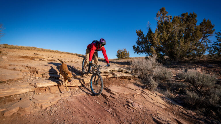 Fruita Mountain Biking