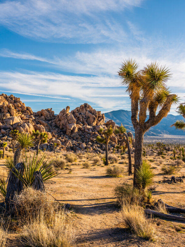 Multi-Day Hiking in Joshua Tree National Park