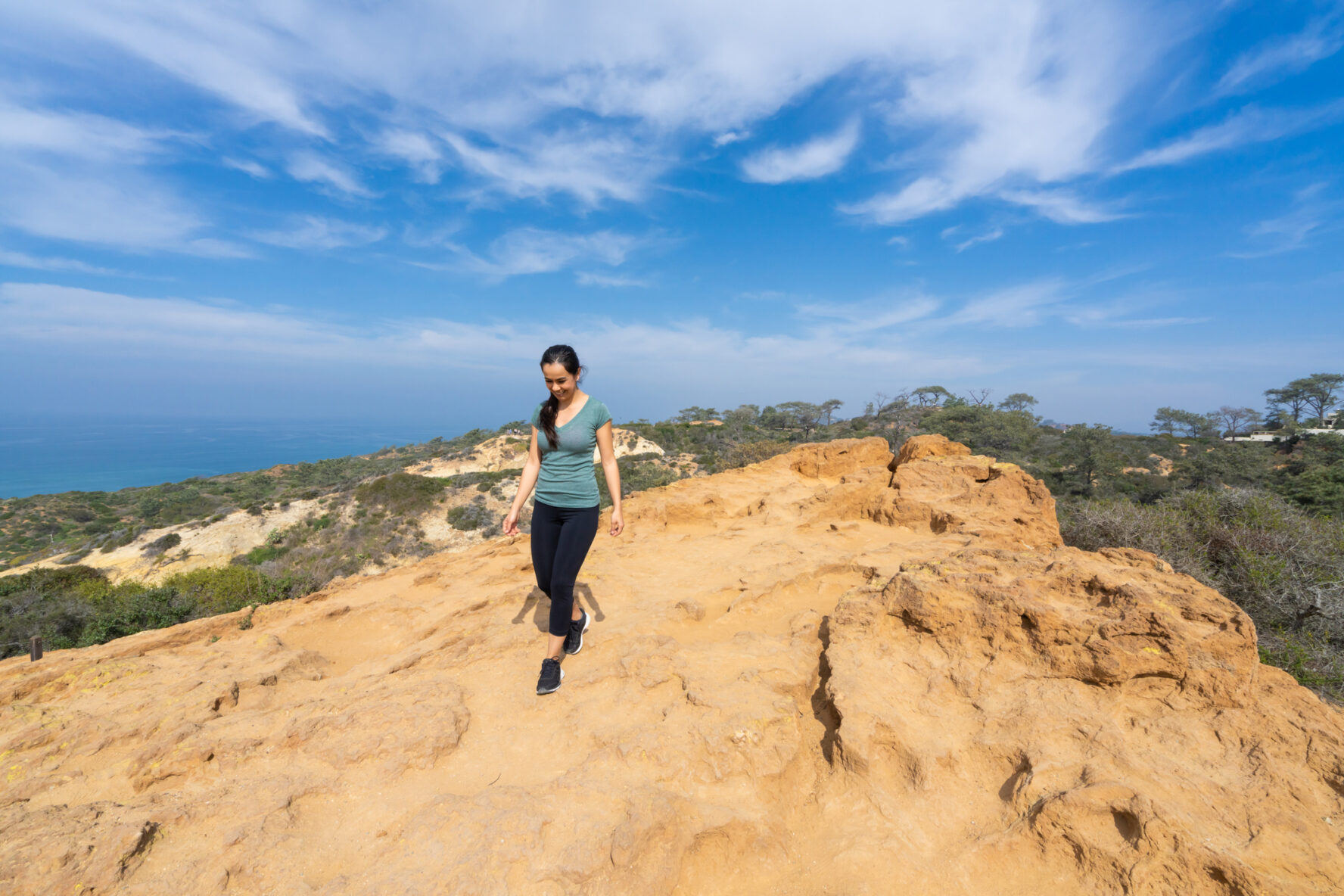 Torrey Pines offers a lovely viewpoint over San Diego’s coastline.