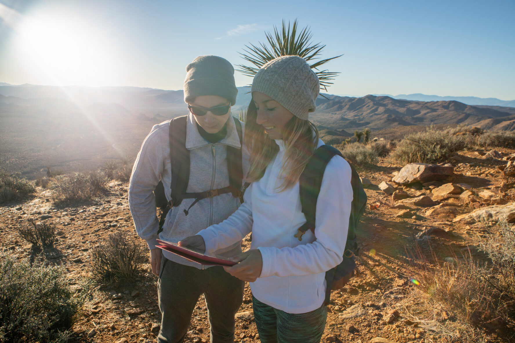 Joshua Tree Hiking