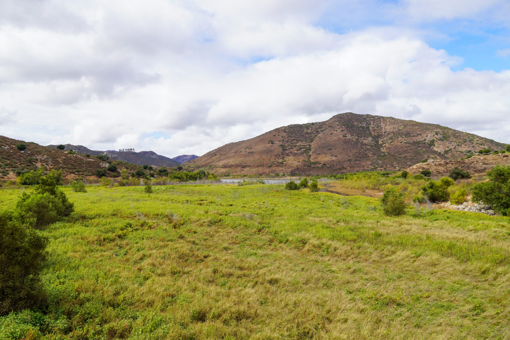 The landscape of Cowles Mountain is filled with wild flowers, dirt trails, and green grasslands.