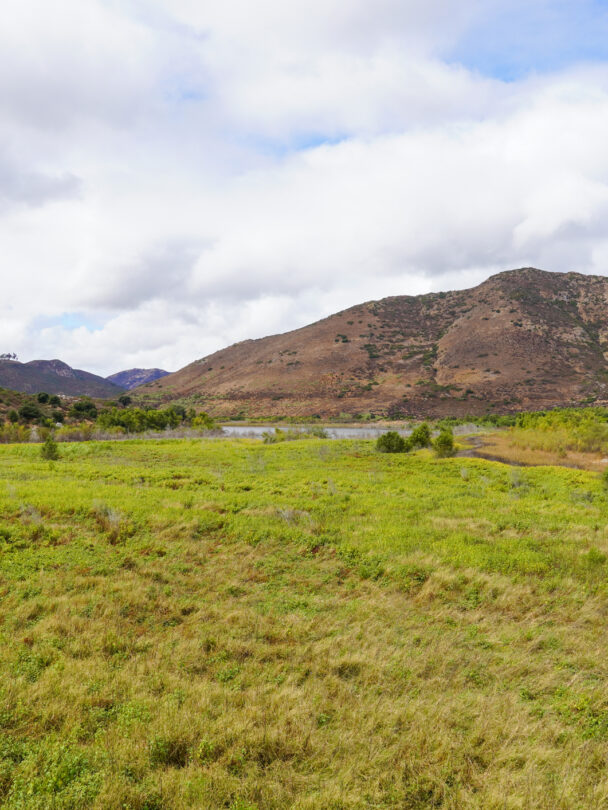 Hiking and Biking Tours in San Diego