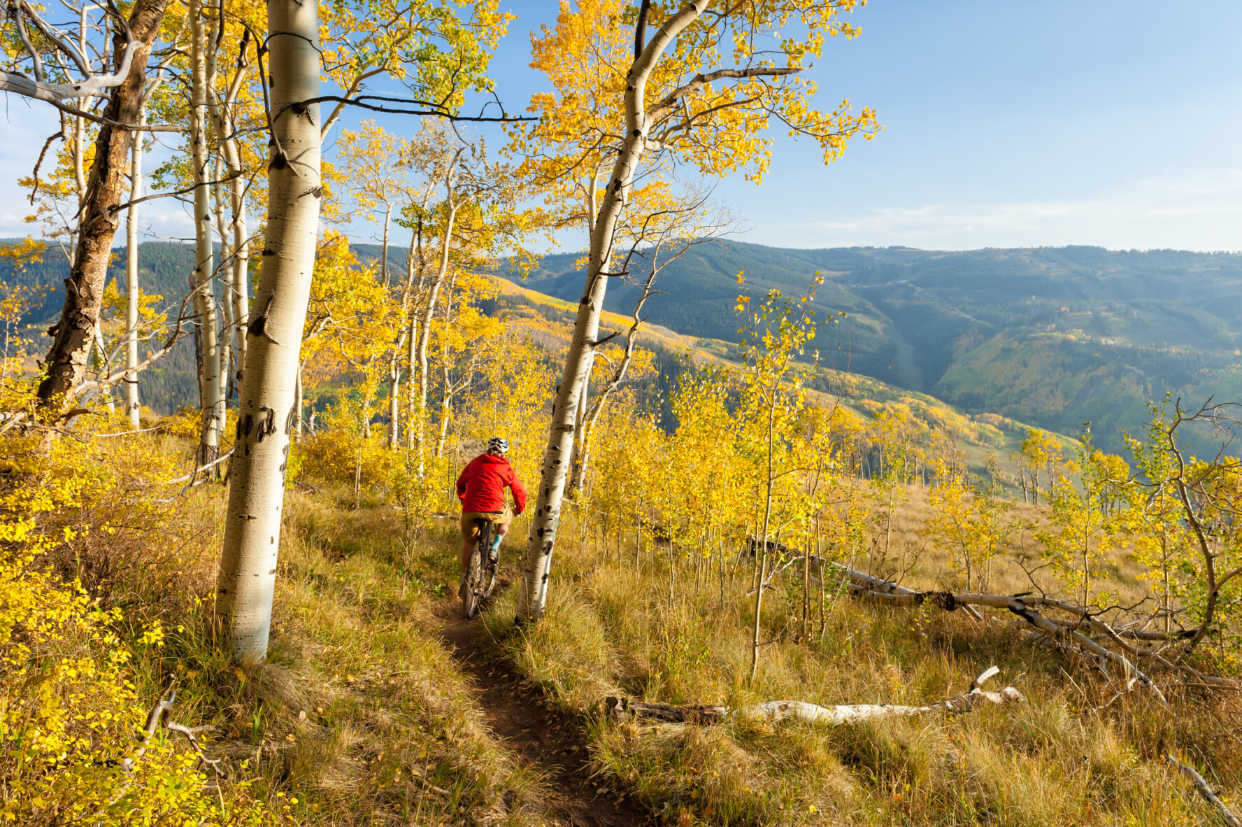 Aspen Mountain Biking