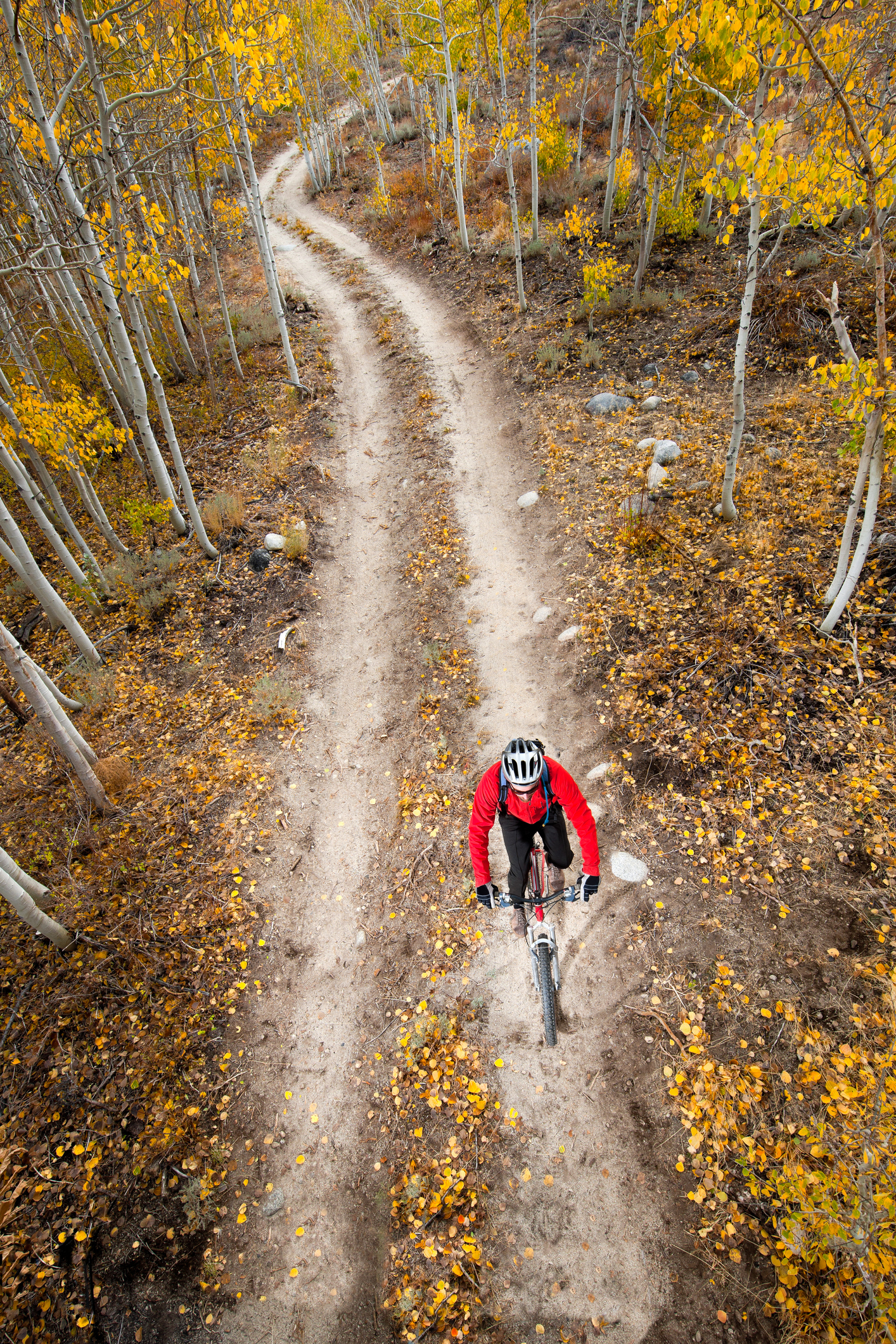 Aspen Mountain Biking