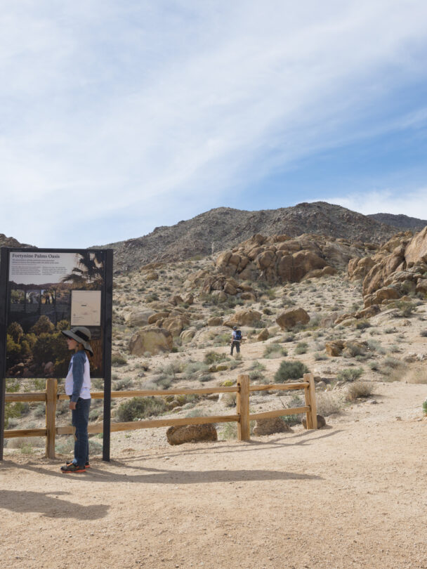 Day Hikes in Joshua Tree National Park