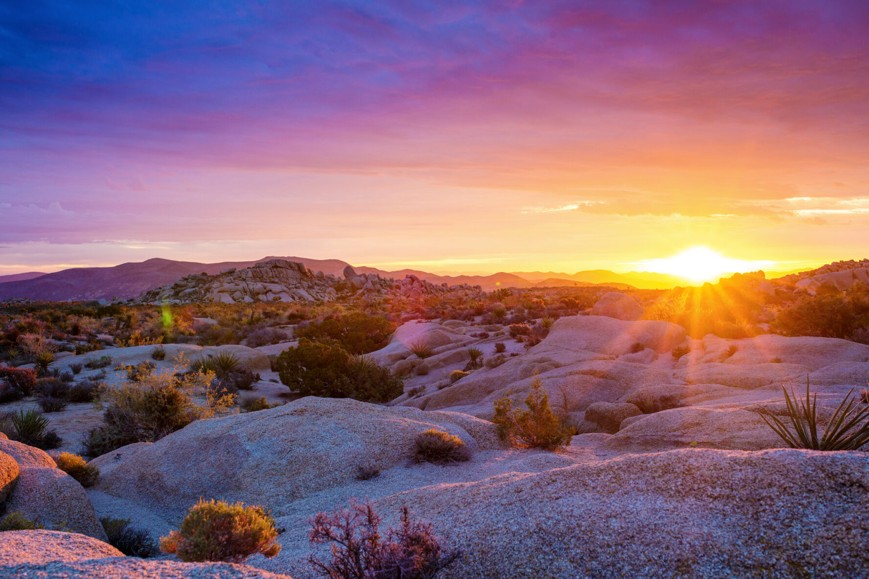 Sunset in Joshua Tree National Park