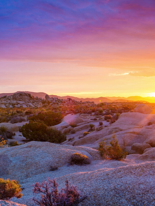 Day Hikes in Joshua Tree National Park