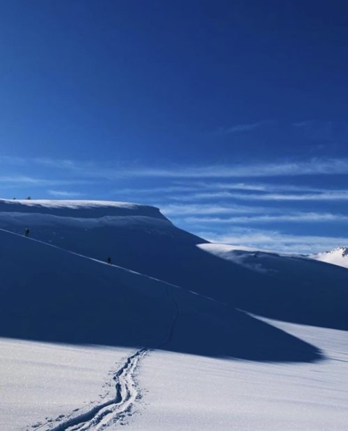 Undulating snow-covered slopes at mount baker with a single track set against the piercing blue sky.