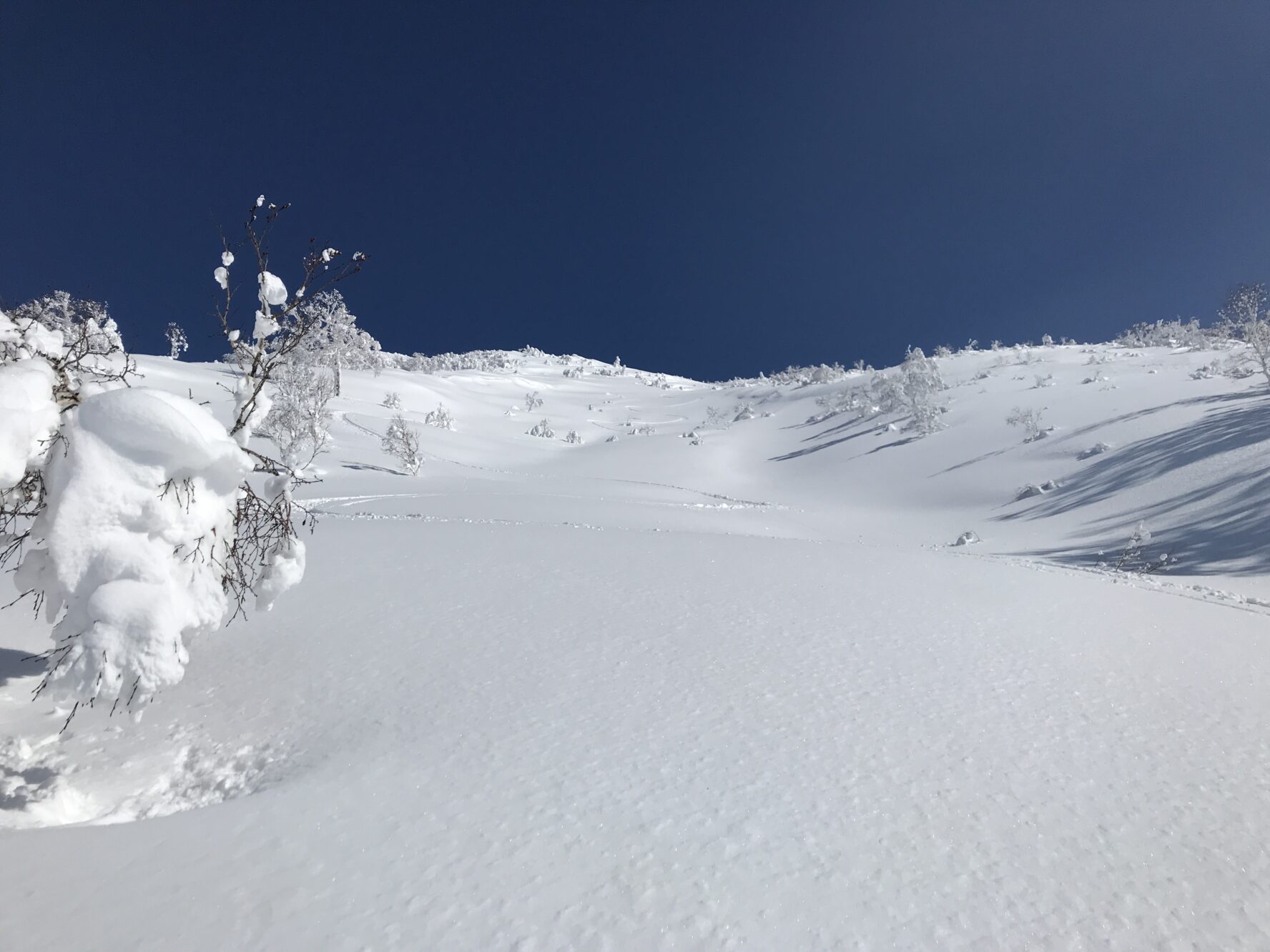 Mount Yotei backcountry skiing