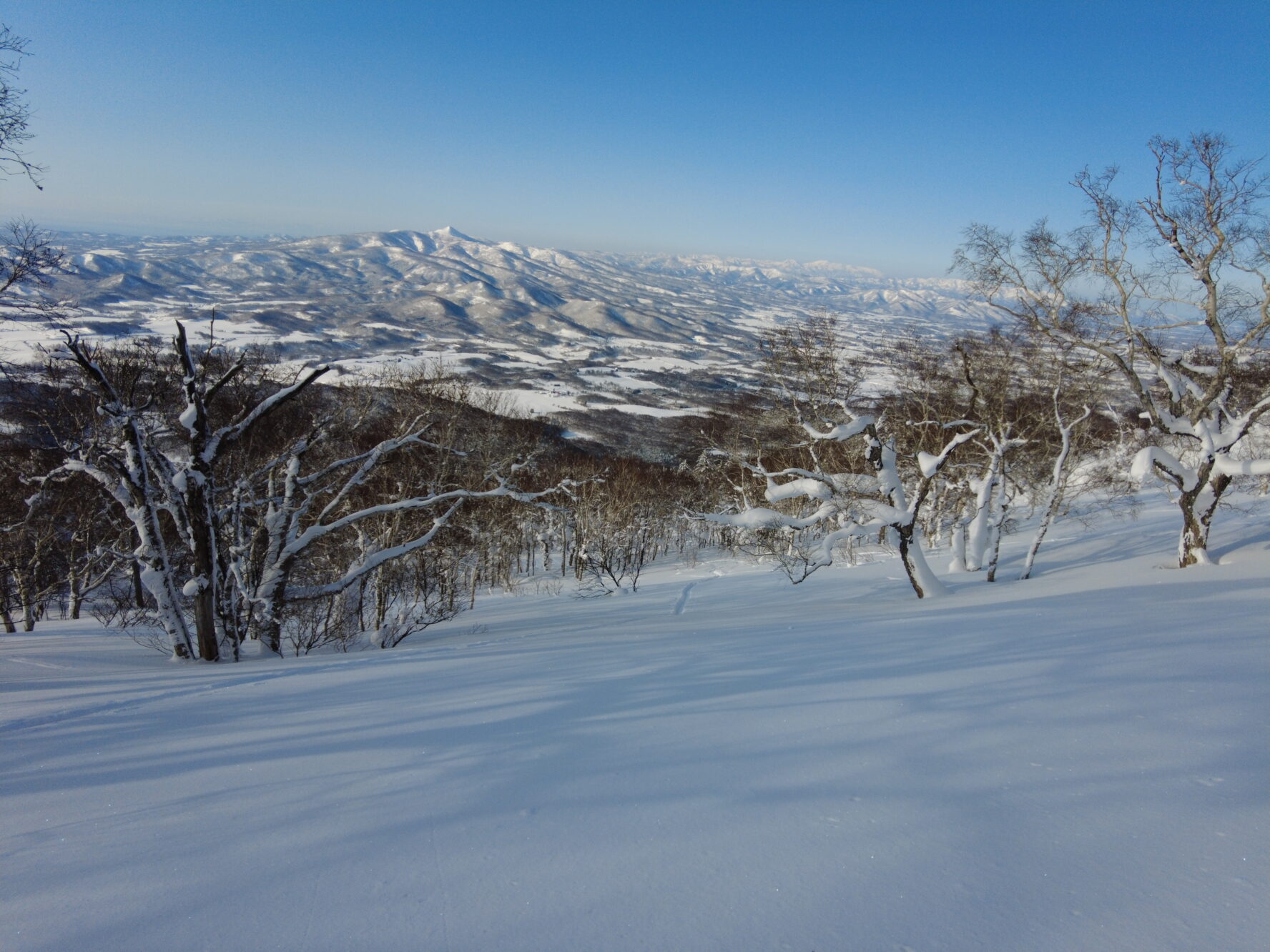 Mount Yotei backcountry skiing