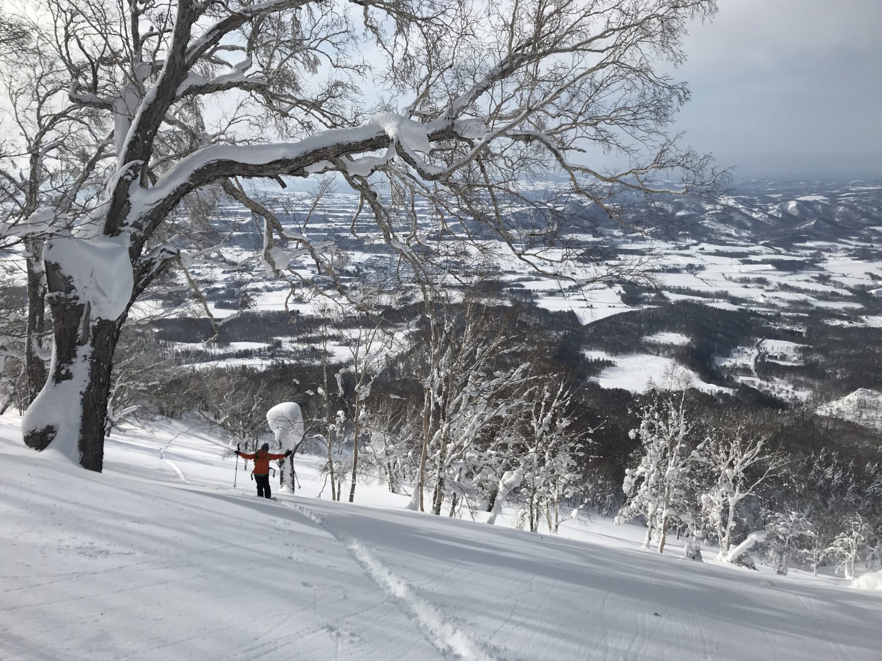 Mount Yotei backcountry skiing