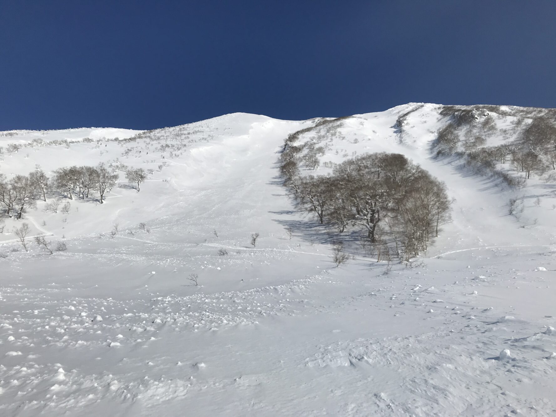Mount Yotei backcountry skiing