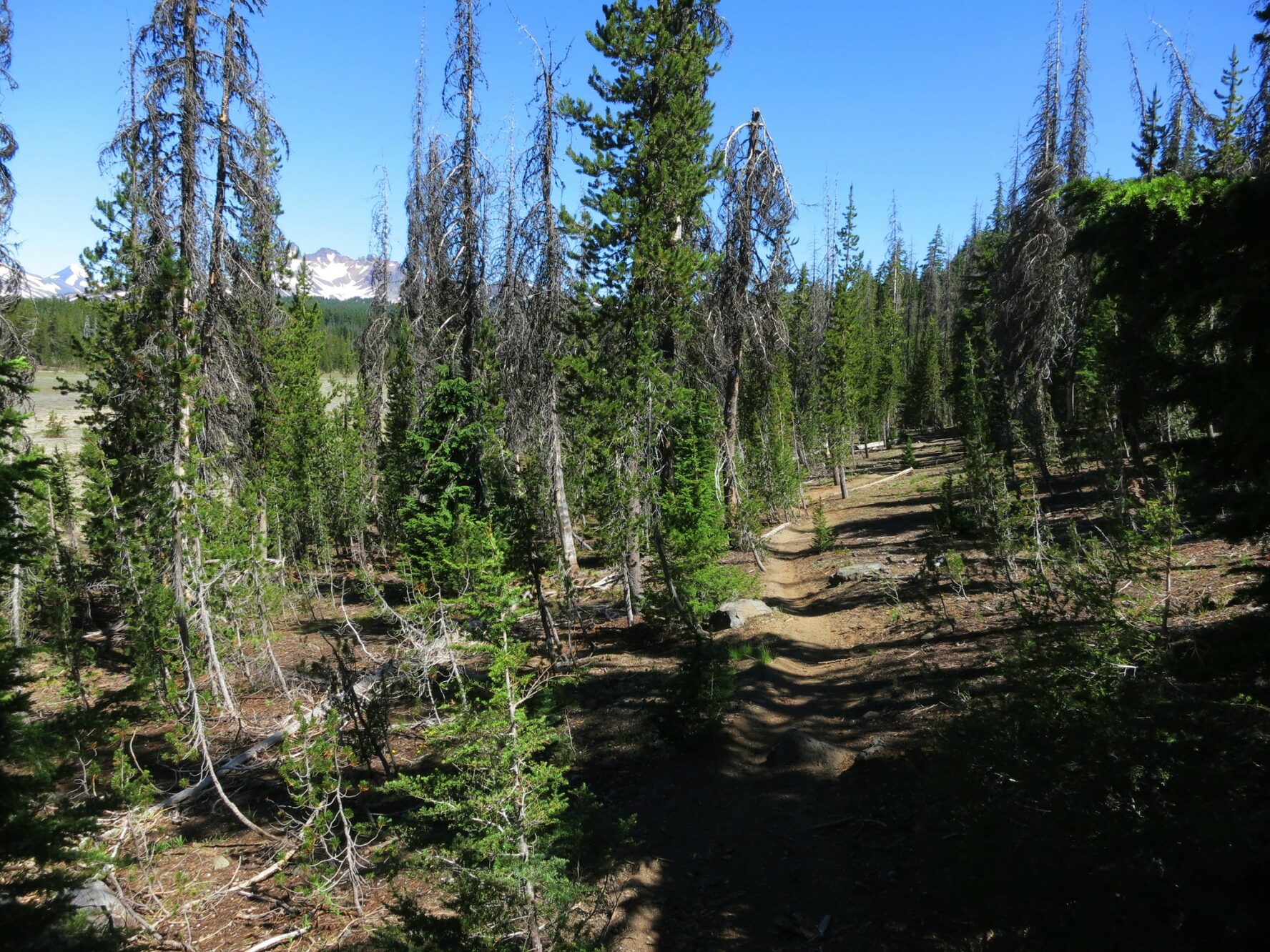 Bend Mountain Biking