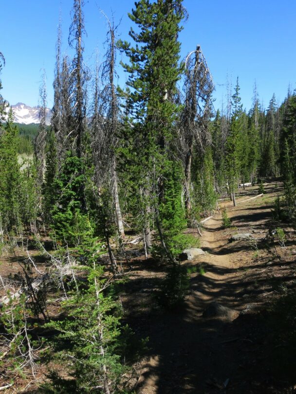 Bend Mountain Biking