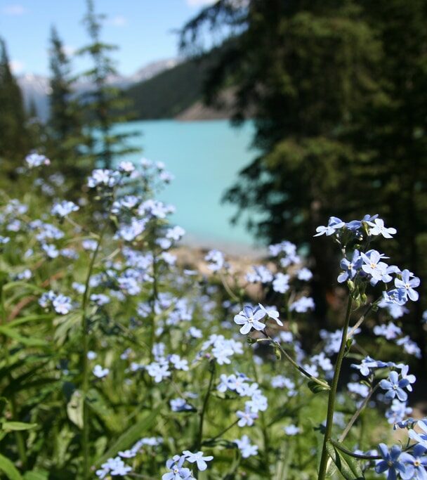 Canadian Rockies hiking