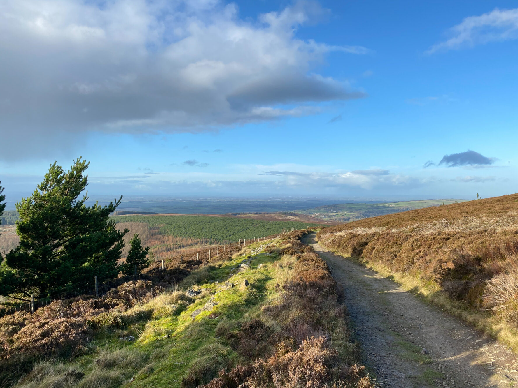 north york moors walks