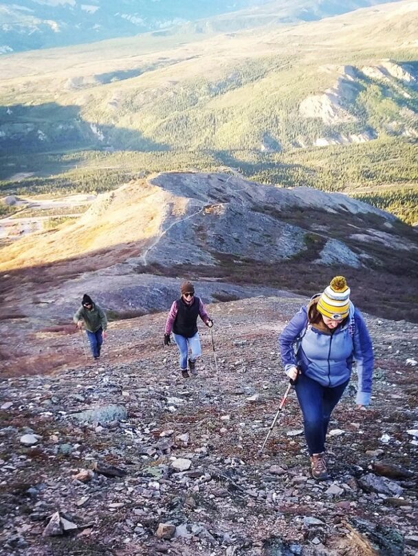 Hiking Tours in Denali National Park