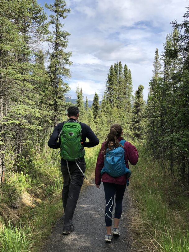 Hiking Tours in Denali National Park