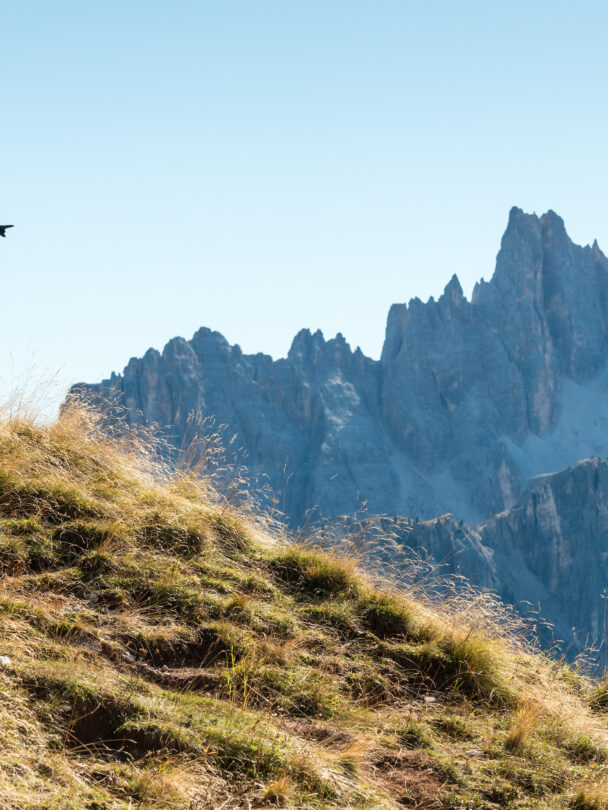 Guided hiking tour of Alta Via I and II in the Dolomites, Italy