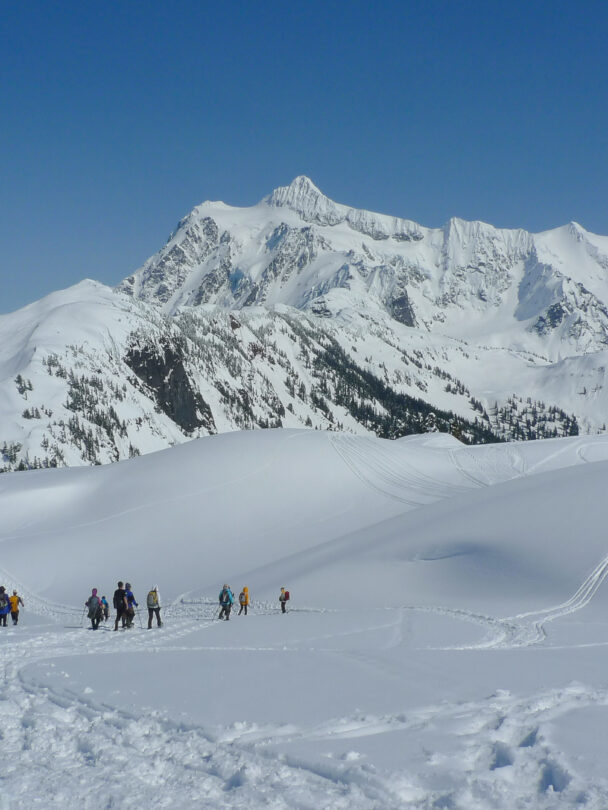 Mount Baker Alpine Climbing