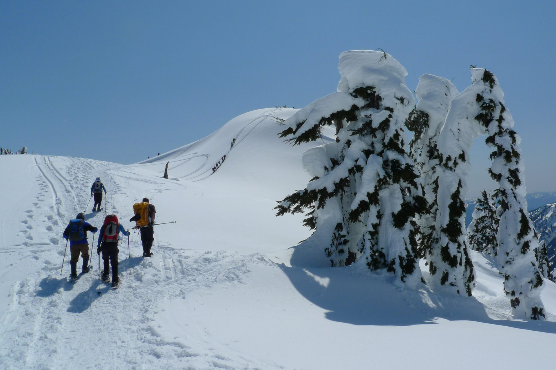 Mount Baker Alpine Climbing