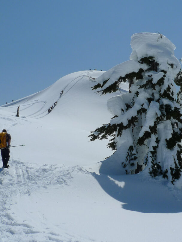 Mount Baker Alpine Climbing