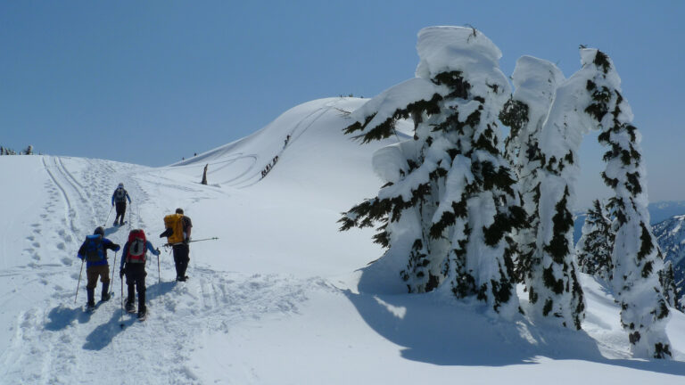 Mount Baker Alpine Climbing