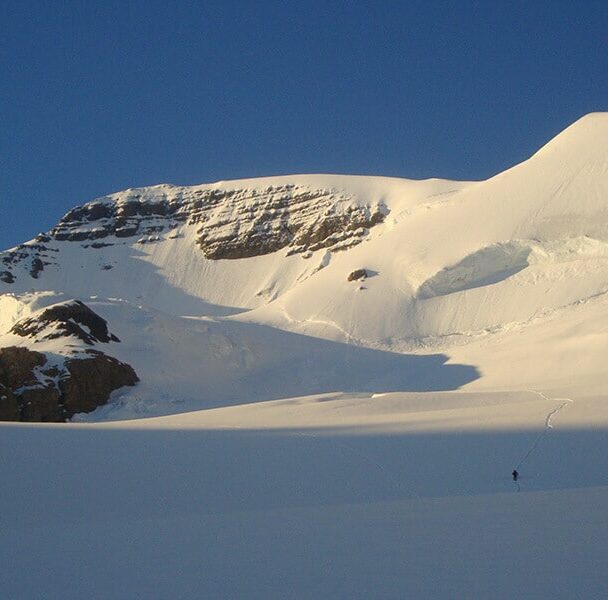 Mt. Athabasca Alpine Climbing Weekend